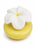 Flower Diffusers by Millefiori Milano