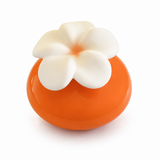 Flower Diffusers by Millefiori Milano